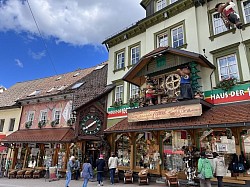 Tourist shopping