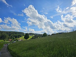 Black Forest