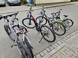 Bikes to rent